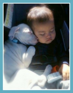 FB Baby sleeping with pittie car seat